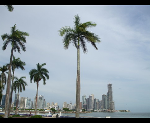Panama City 4