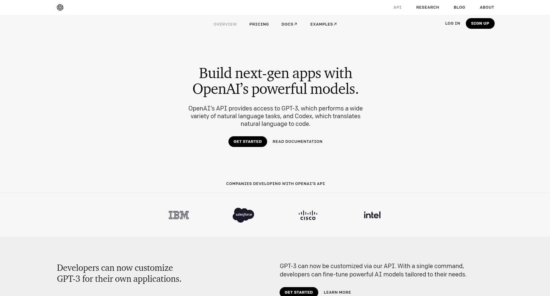 A screenshot of the OpenAI API page