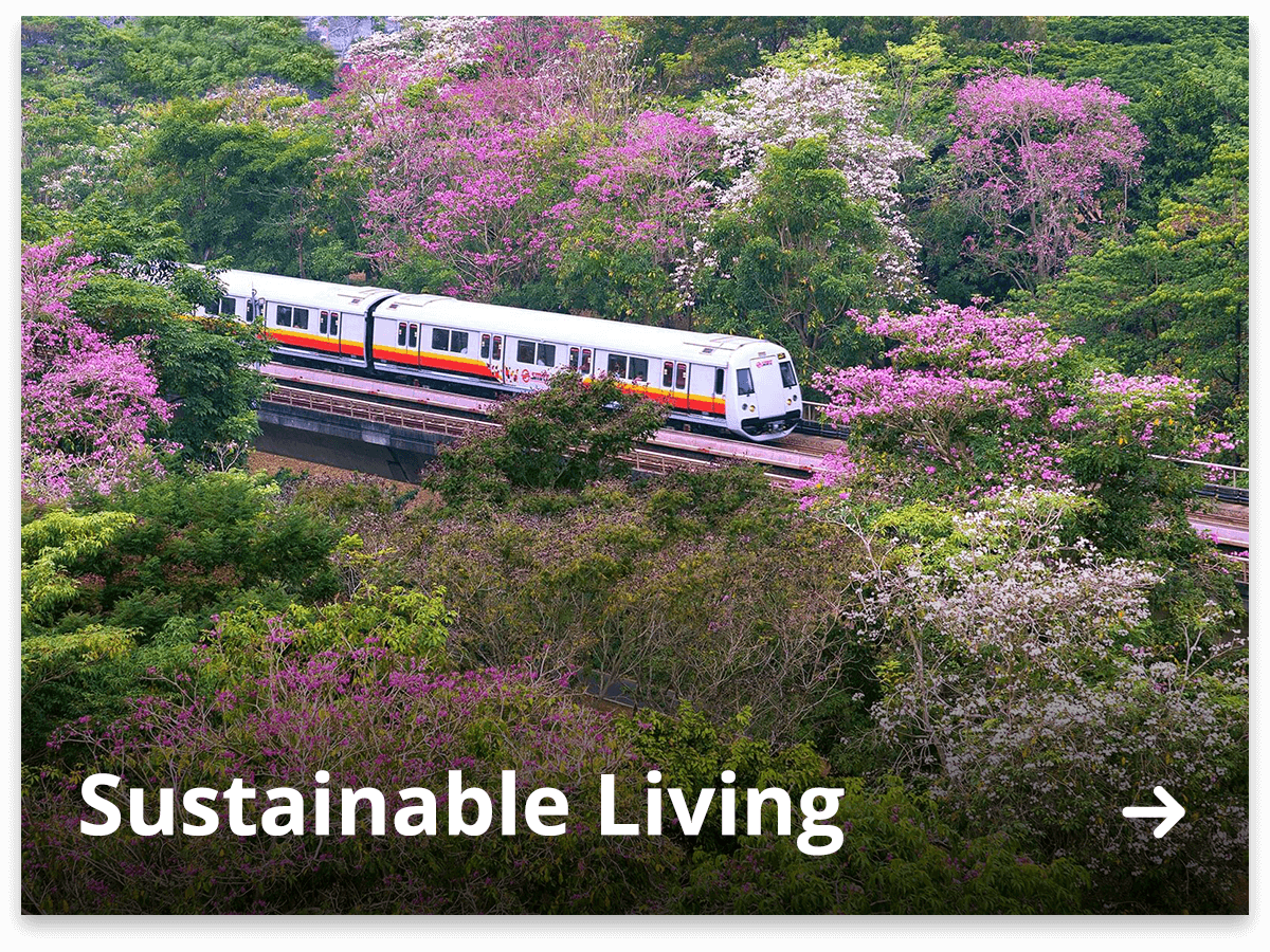 Sustainable Living