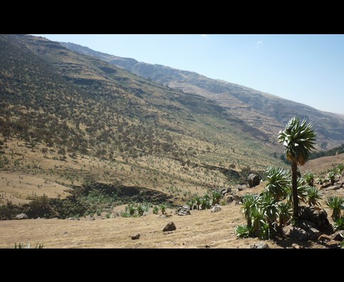 Ethiopia Simien Mountains 15