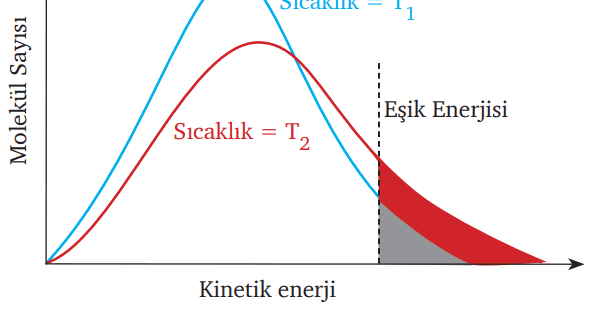 Tepkime Hızına Etki Eden Faktörler