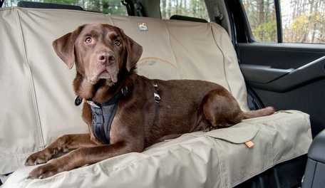 Dog Car Seat Cover Buying Guide