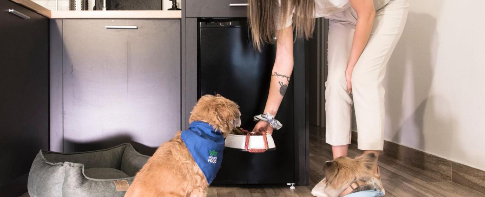 Dog Only Eats When You Watch? Here’s How to Encourage Independent Eating