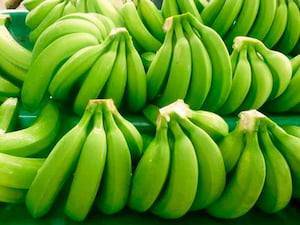 Guisantes