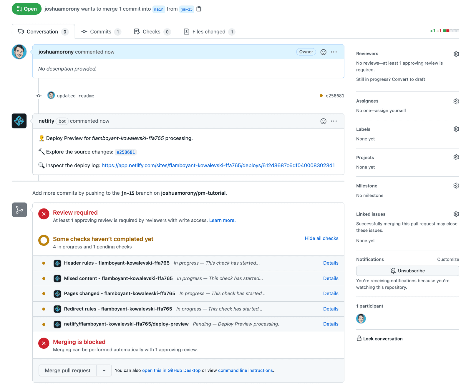Review required and status checks in Github