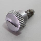 Screw Screw