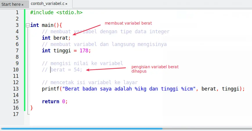 Variabel pada bahasa pemrograman C