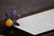 How to extract text from an image using JavaScript