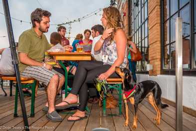 8 Colorado Breweries that Welcome Your Dog