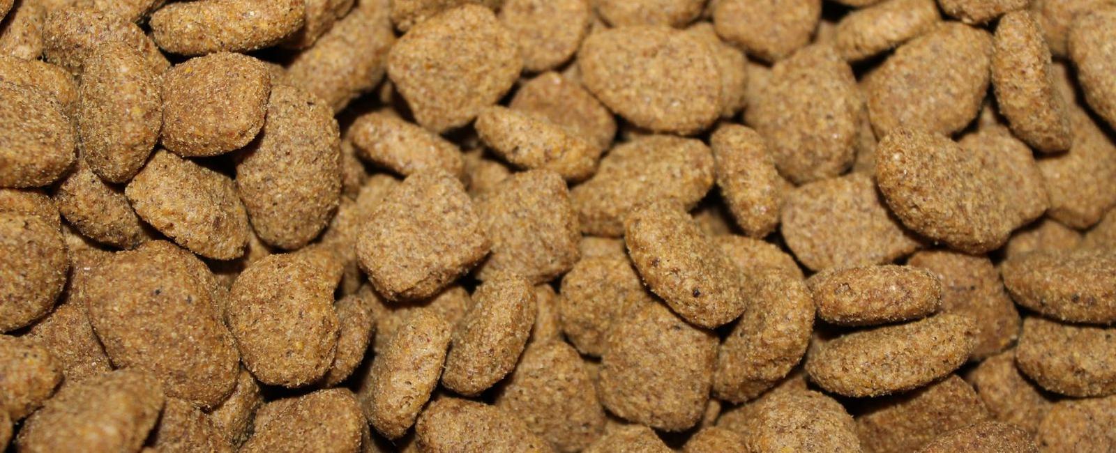 How Many Cups Are in a Pound of Dog Food?