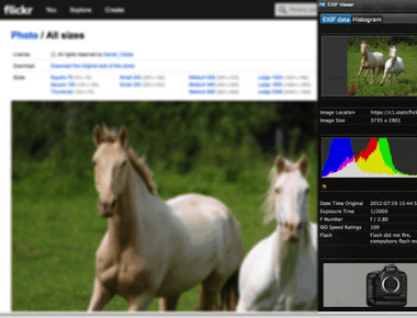 How to view image metadata directly in the browser