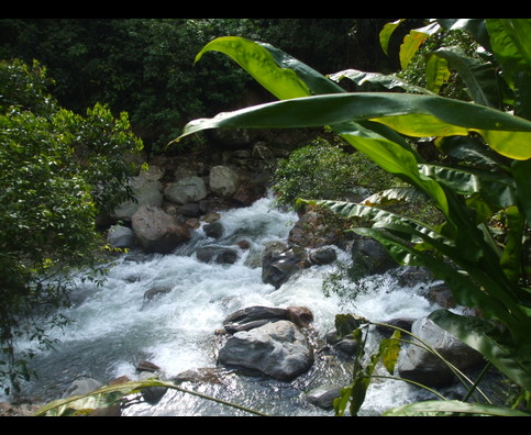 Colombia Lostcity Rivers 10