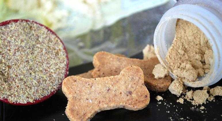 4 DIY Healthy Dog Treat Recipes