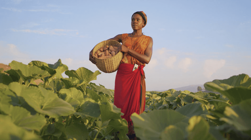 Woman stands in a field holding a basket of harvested goods.