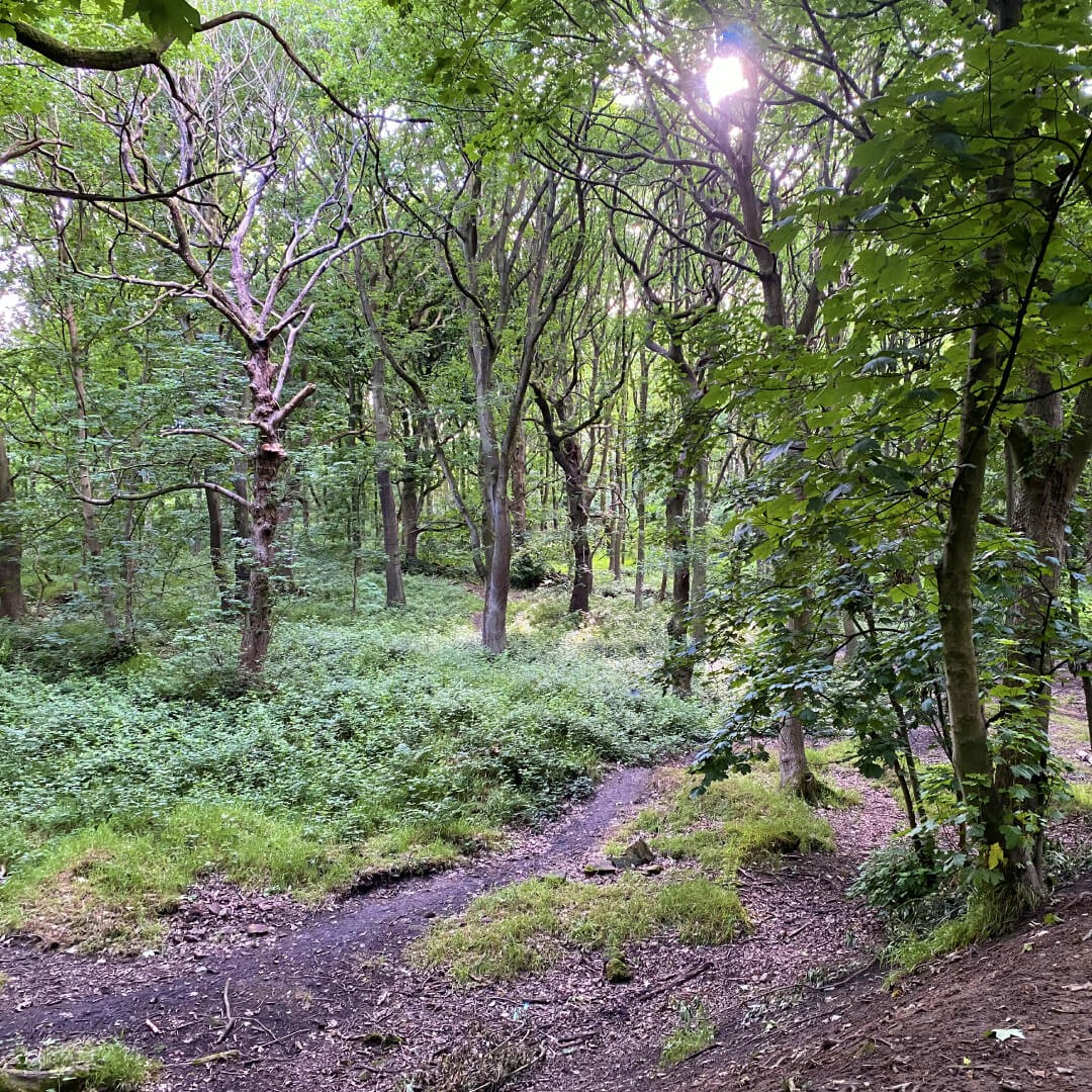 Bramley Fall Park & Woods Discover Leeds