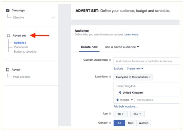 Facebook ad campaign audience