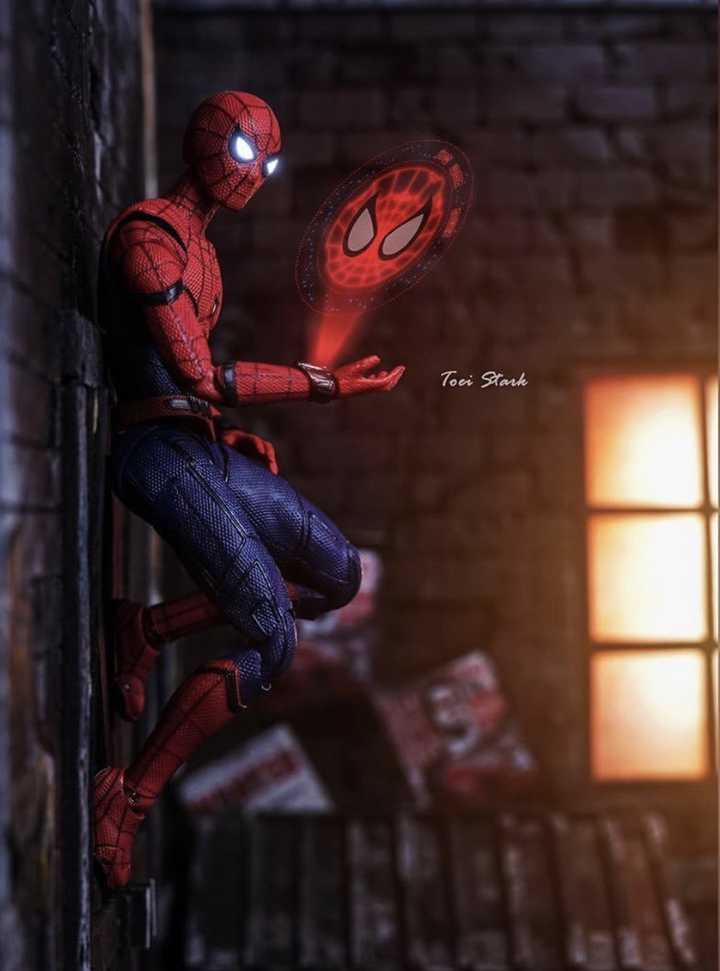 Six Inch Figure Collections Weekly Update 4