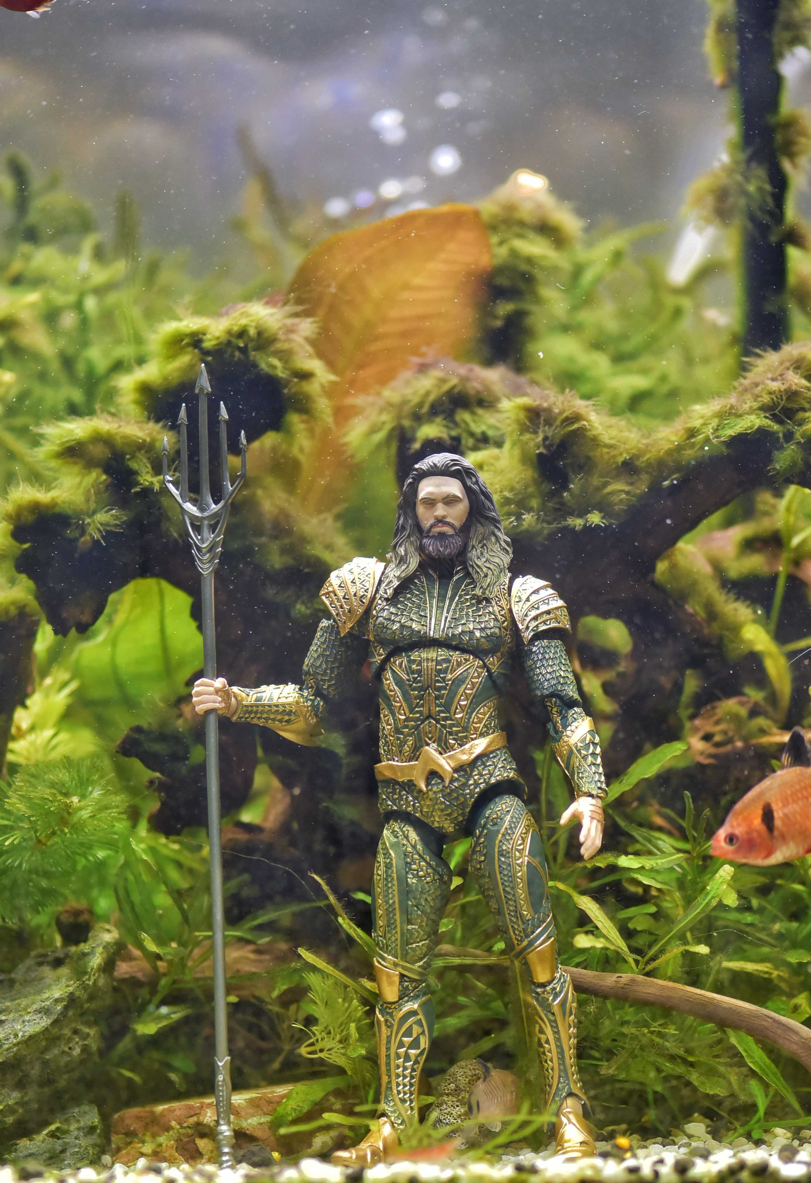 Aquaman In Fish Tank