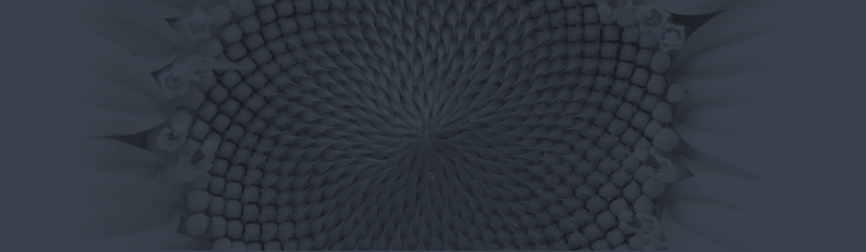 Daisy Intelligence Raises C$10 Million in Funding to Scale its AI Platform
