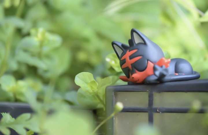 Six Inch Figure Collections Weekly Update 4