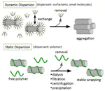Biocompatible Dispersants for Carbon Nanomaterials