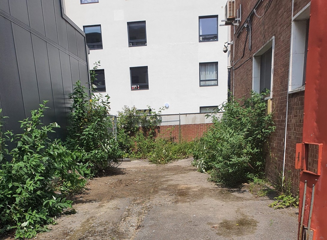 outdoor space cleared of rubbish