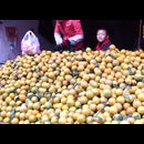 China Kunming Markets 29