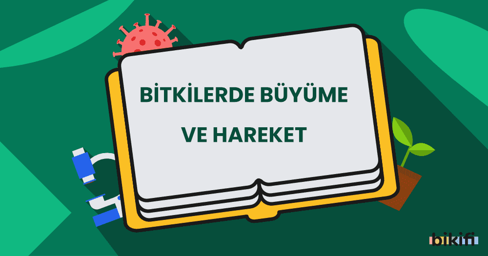 Bitkilerde Büyüme ve Hareket