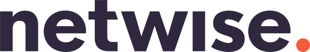 Netwise Logo