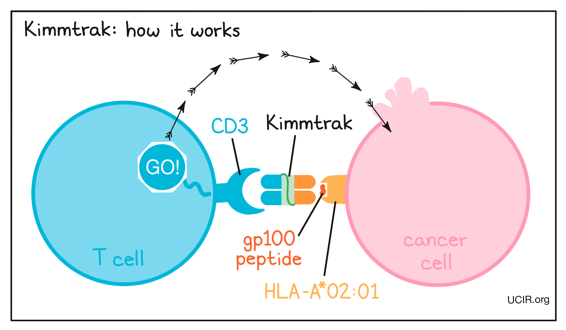 Illustration showing how Kimmtrak works