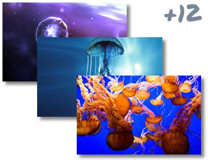 Jellyfish theme pack