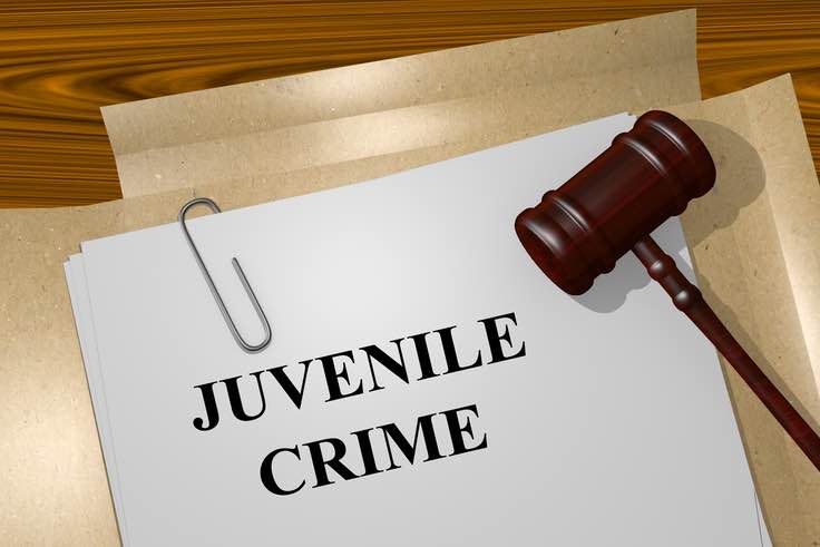 Juvenile crime folder