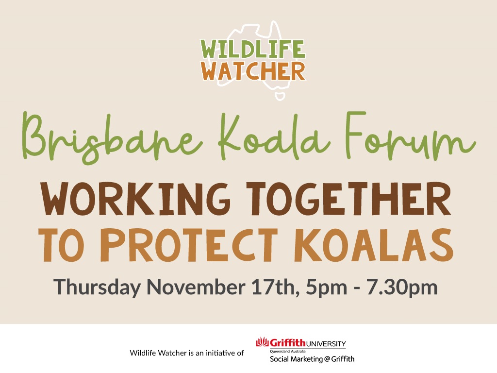 Brisbane Koala Forum 2022 UpNext