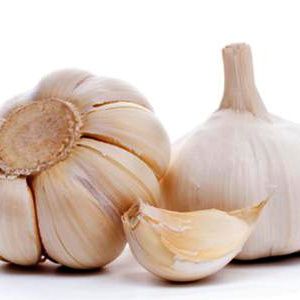 Ajo