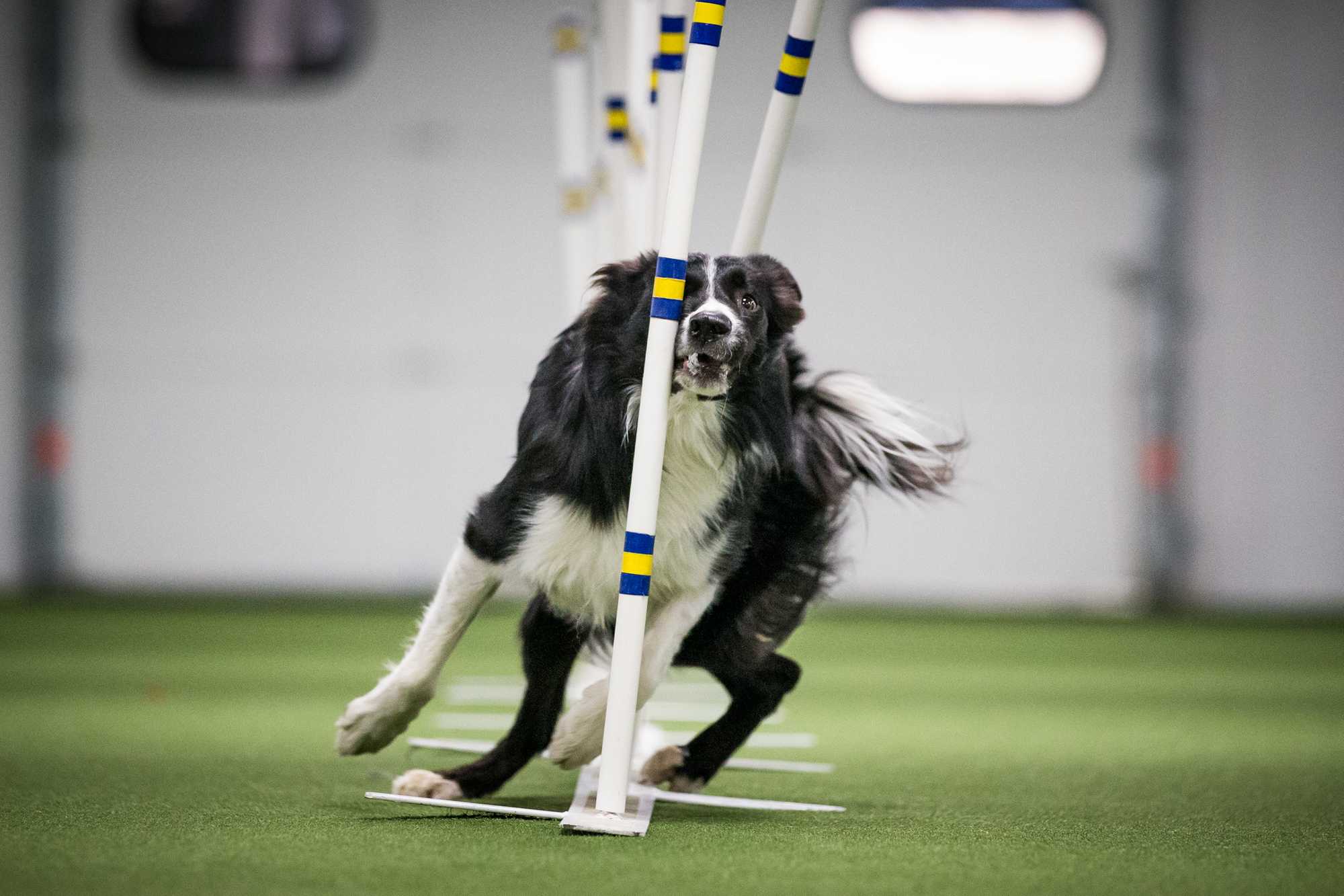 Can you spot the potential issues? Photo of Snap! weaving toward the camera