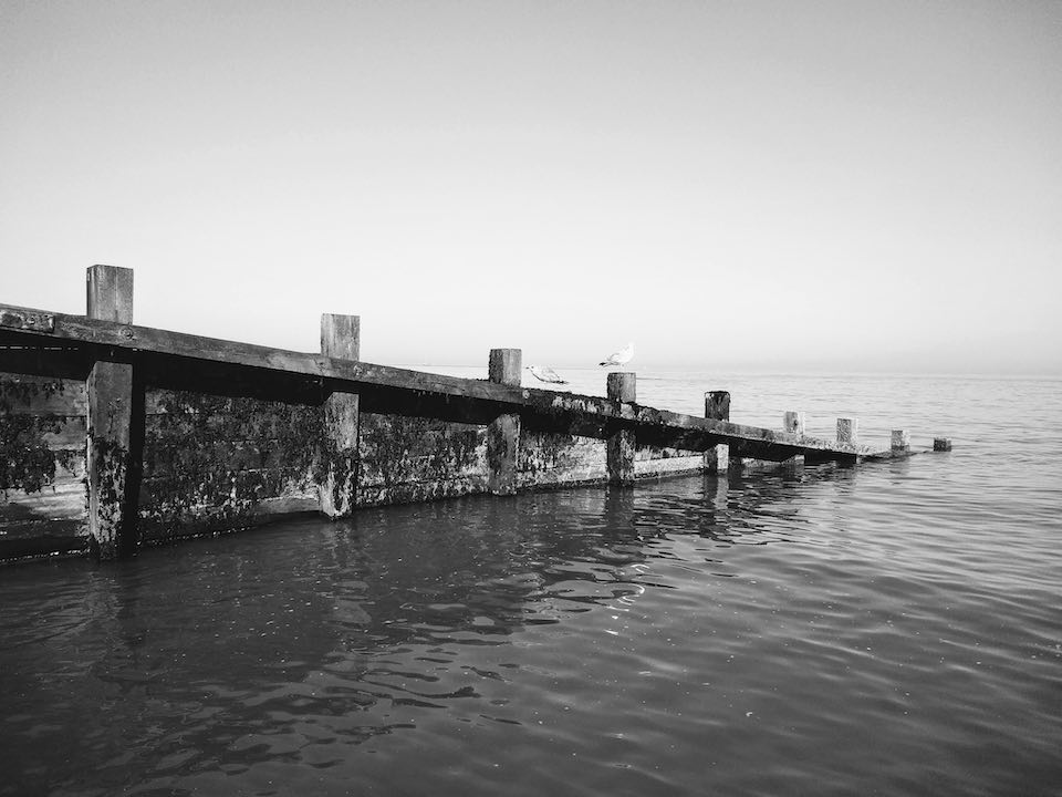 Two seagulls sat on a wooden fence in the sea.