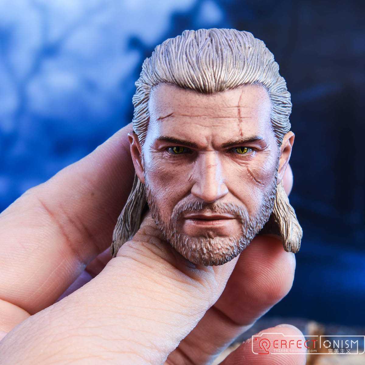 The White Wolf Geralt