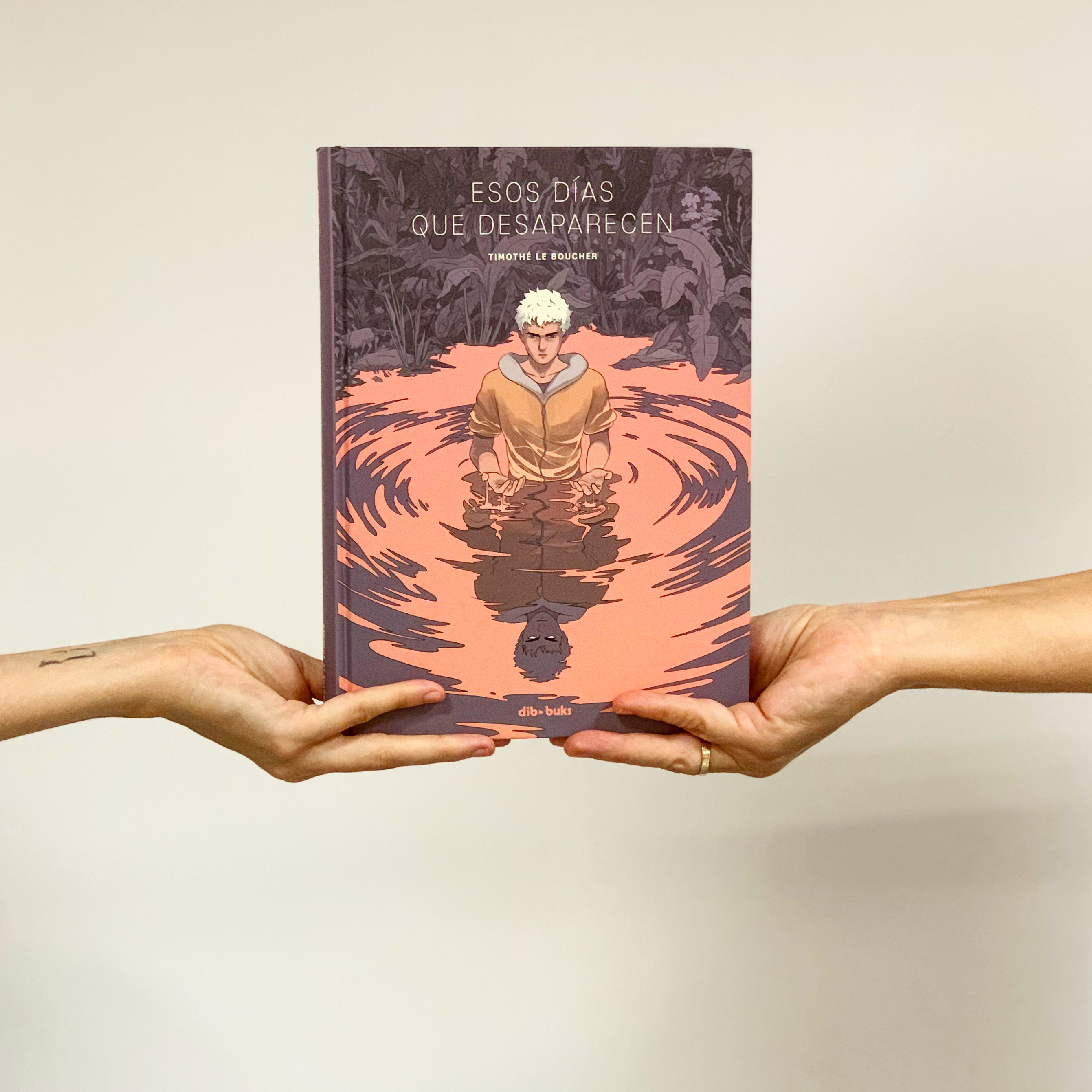 Imagen de Reseña de "Esos días que desaparecen”, de Timothé Le Boucher