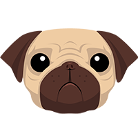 pug