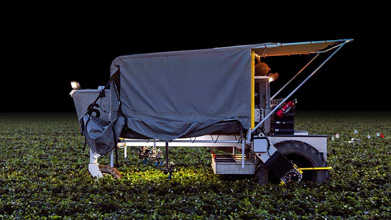 Image of Advanced Farm BetterPick Strawberry Harvester in a strawberry field at night.
