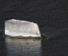 A chunk of of ice floats in a thawing pond.