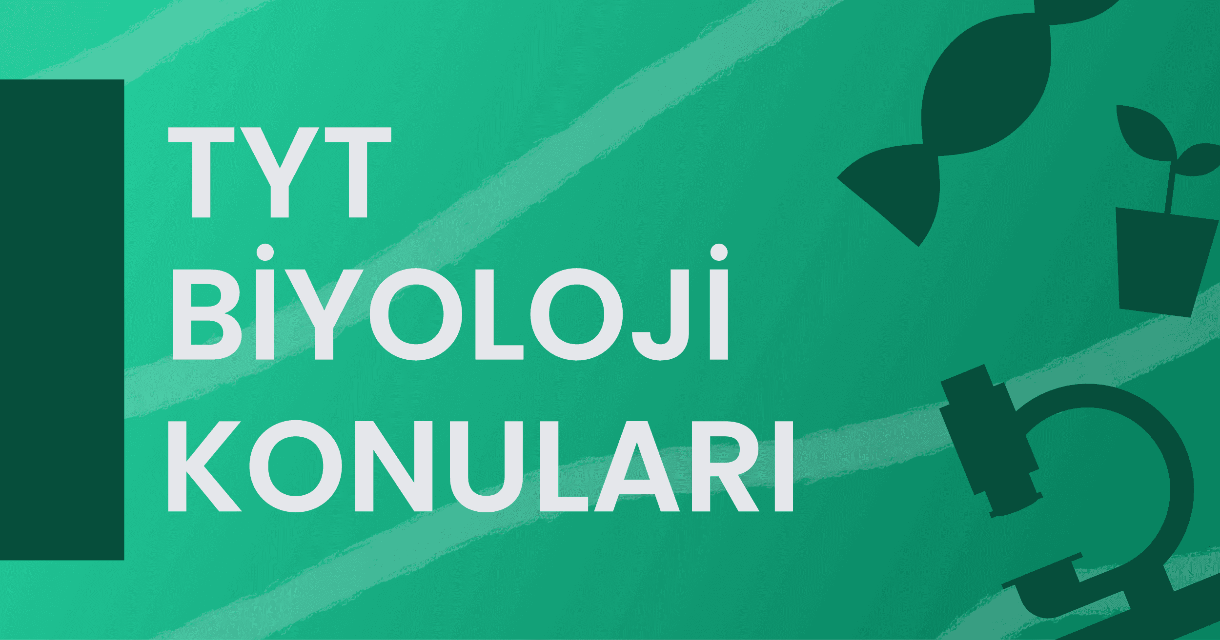 2022 TYT Biyoloji Konuları ve Soru Dağılımı