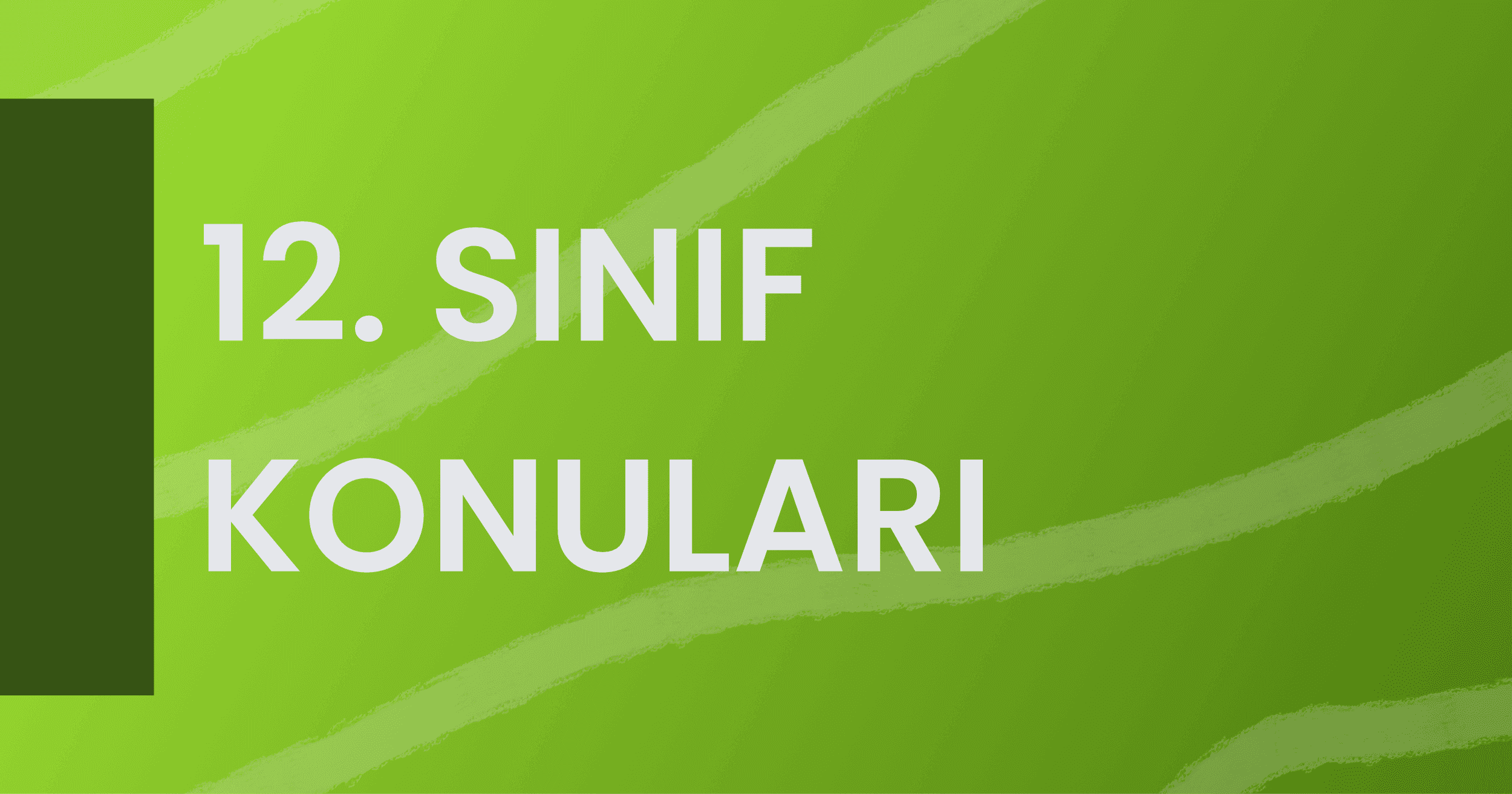 12. Sınıf Konuları (2021 – 2022 MEB Uyumlu)