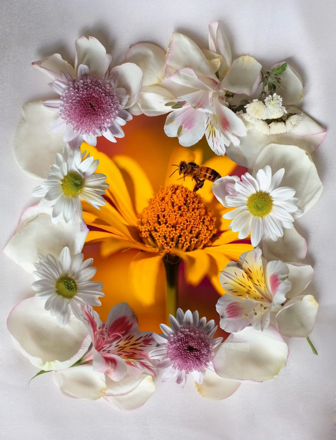 Level up your photos with flower frame frames online for free