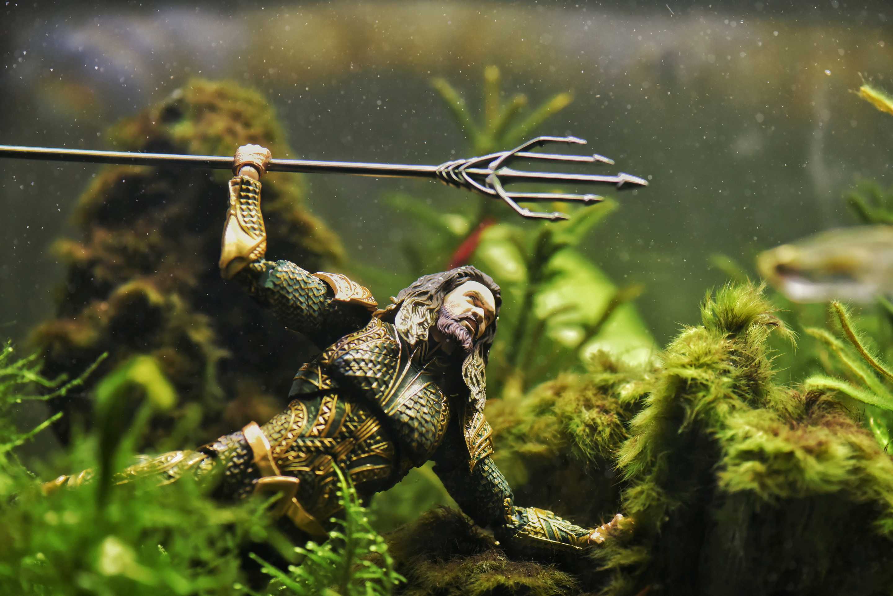 Aquaman In Fish Tank