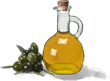 Illustration of Olive Oil