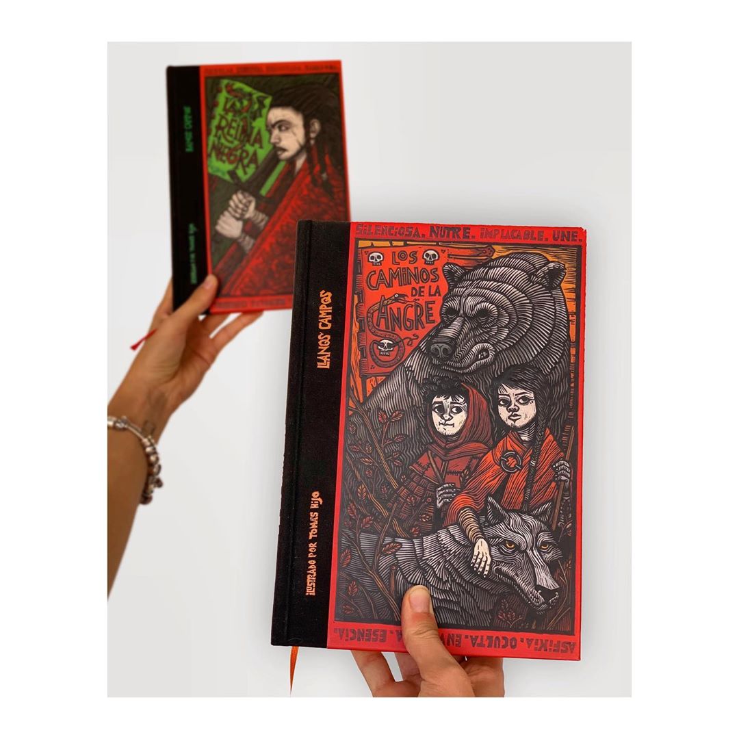 Imagen de Reseña de "Los Caminos de la sangre", de Llanos Campos