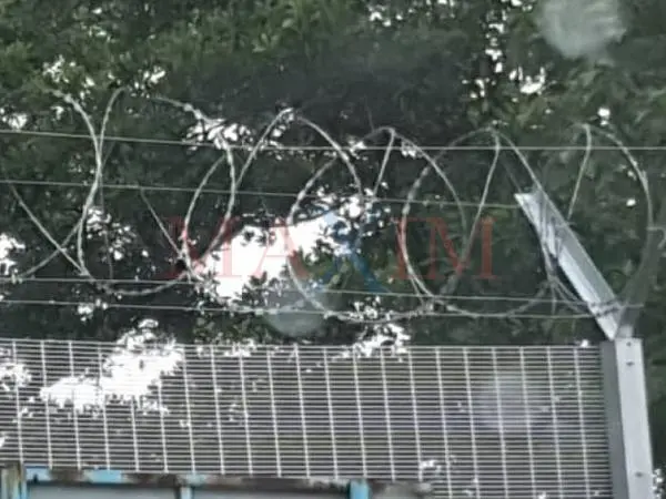 Barbed Wire & Concertina Razor Wire 6