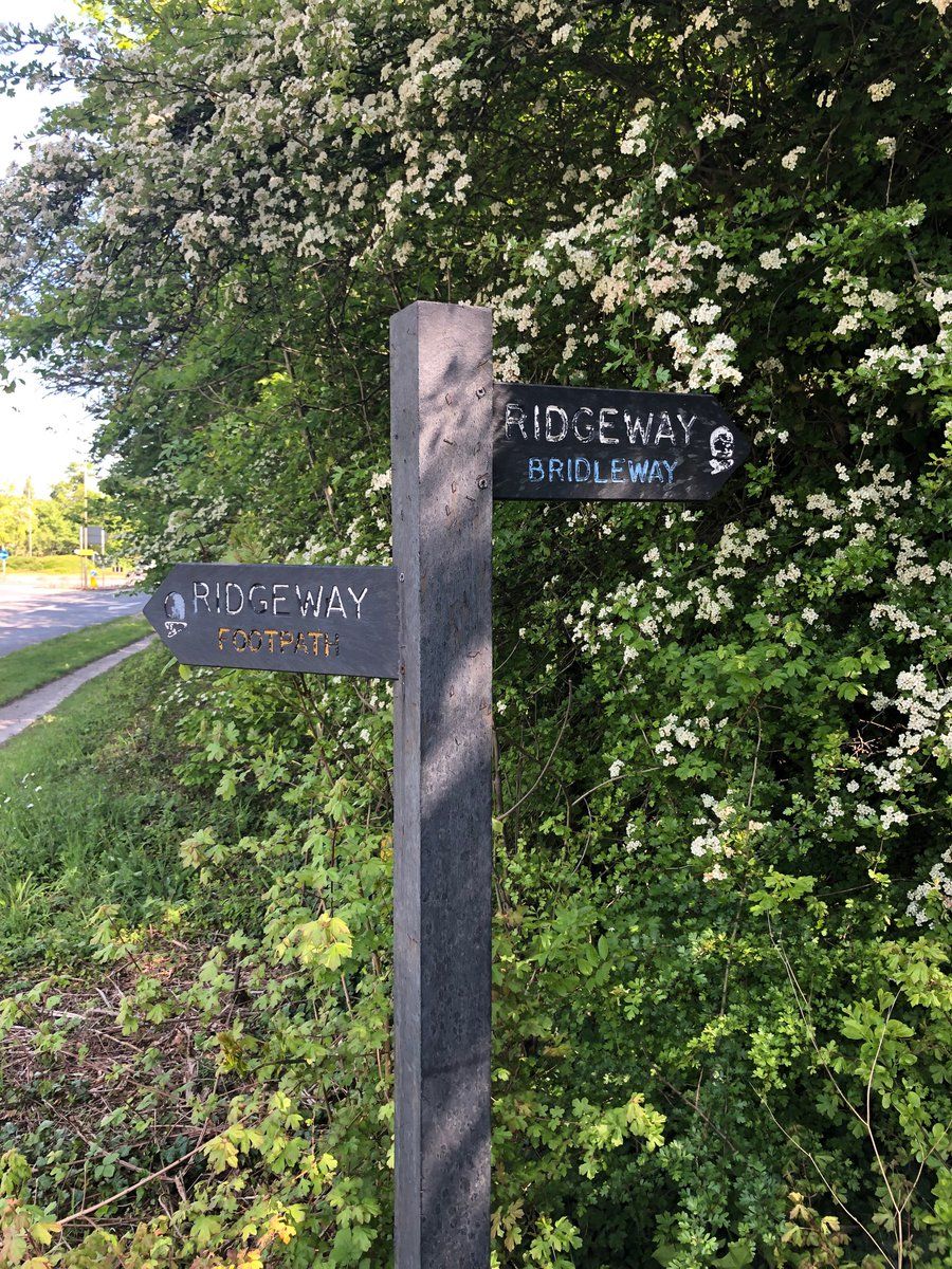 oh my god twitter doesn’t include alt text from images in their API