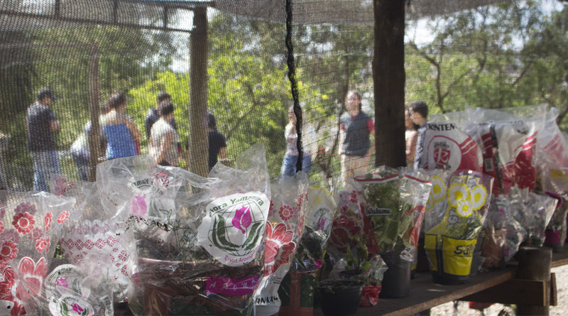 Imagem em destaque para o artigo: Oficina de Horticultura - Centro de Atendimento e Inclusão Social (CAIS)